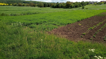 ilustrativní foto - Prodej pozemku 32235 m², Drnovice