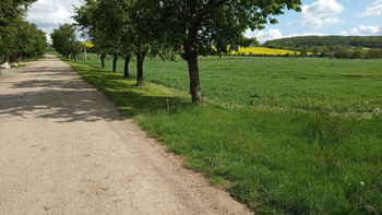 ilustrativní foto - Prodej pozemku 32235 m², Drnovice 