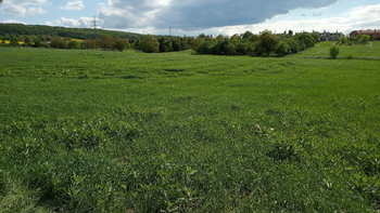 ilustrativní foto - Prodej pozemku 32235 m², Drnovice