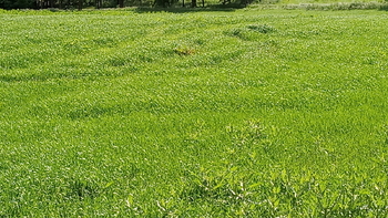 ilustrativní foto - Prodej pozemku 32235 m², Drnovice