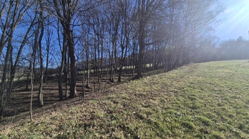 Prodej pozemku 4612 m², Pržno