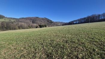 Prodej pozemku 4612 m², Pržno