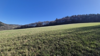 Prodej pozemku 4612 m², Pržno