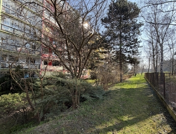 Pronájem bytu 1+kk v osobním vlastnictví 27 m², Praha 4 - Krč