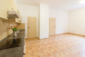 Pronájem bytu 1+1 v osobním vlastnictví 50 m², Malšice