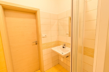 Pronájem bytu 1+1 v osobním vlastnictví 50 m², Malšice