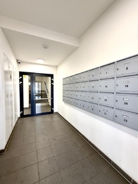 Pronájem bytu 2+kk v osobním vlastnictví 66 m², Plzeň