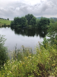 Prodej domu 399 m², Předenice