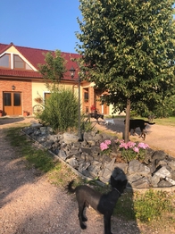 Prodej domu 399 m², Předenice