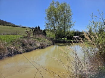 Prodej domu 399 m², Předenice