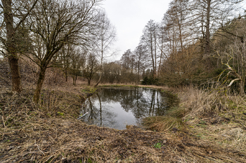 Prodej domu 440 m², Červená Voda