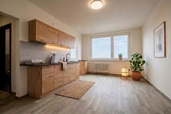 Prodej bytu 1+1 v osobním vlastnictví 30 m², Praha 4 - Chodov