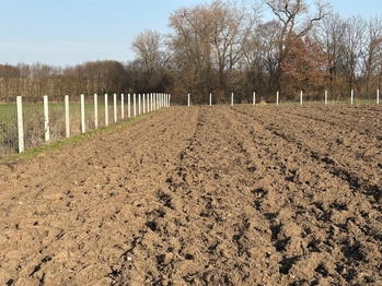 Prodej pozemku 9979 m², Nové Dvory