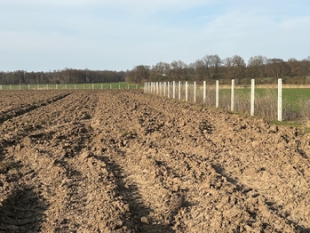 Prodej pozemku 9979 m², Nové Dvory