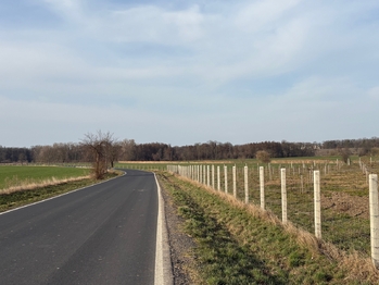 Prodej pozemku 9979 m², Nové Dvory