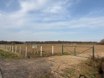 Prodej pozemku 9979 m², Nové Dvory