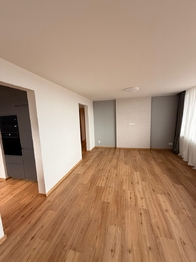 Prodej bytu 3+1 v družstevním vlastnictví 72 m², Praha 4 - Michle