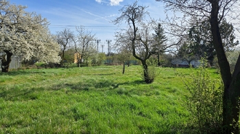 Zahrada - Pronájem pozemku 1499 m², Přerov