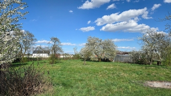 Pohled od chatky k přístupové cestě - Pronájem pozemku 1499 m², Přerov