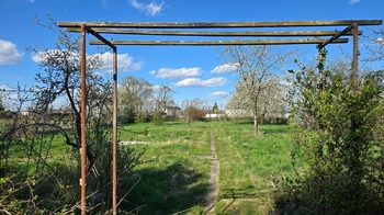 Pohled od chatky k přístupové cestě - Pronájem pozemku 1499 m², Přerov