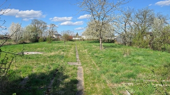 Pohled od chatky k přístupové cestě - Pronájem pozemku 1499 m², Přerov