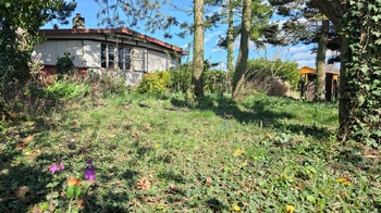 Zadní část zahrady - Pronájem pozemku 1499 m², Přerov