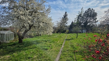 Pohled do zahrady od přístupové cesty - Pronájem pozemku 1499 m², Přerov 