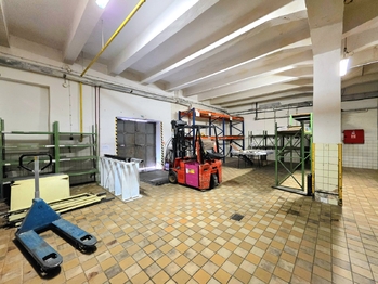 Pronájem obchodních prostor 550 m², Žatec