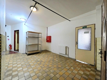 Pronájem obchodních prostor 550 m², Žatec