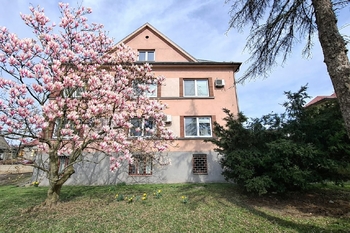 Pronájem kancelářských prostor 25 m², Ostrava