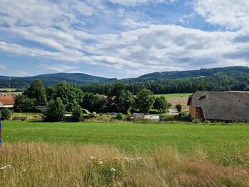 Prodej pozemku 902 m², Brloh