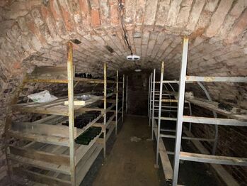 klenutý sklep  - Prodej vinného sklepa 84 m², Mikulčice