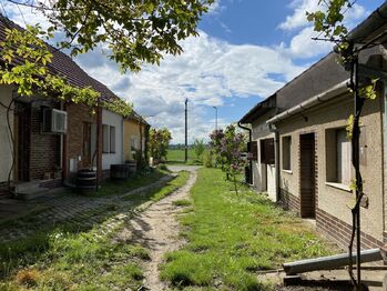 sklepní ulička - Prodej vinného sklepa 84 m², Mikulčice