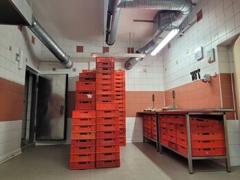 Prodej obchodních prostor 284 m², Děčín