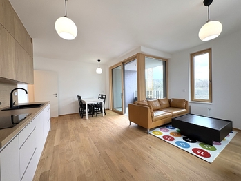 Obývací pokoj s kuchyňským koutem - Pronájem bytu 2+kk v osobním vlastnictví 62 m², Praha 5 - Radlice 