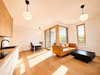 Pronájem bytu 2+kk v osobním vlastnictví 62 m², Praha 5 - Radlice