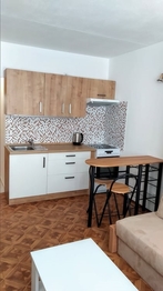 Byt 1kk, 25 m2, Velkopavlovická, Vinohrady, Brno - Prodej bytu 1+kk v osobním vlastnictví 25 m², Brno