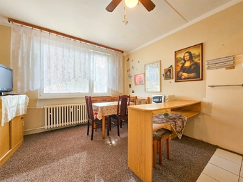 Prodej bytu 1+1 v družstevním vlastnictví 36 m², Chomutov