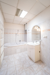 Prodej bytu 3+1 v osobním vlastnictví 134 m², Praha 6 - Dejvice