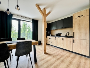 Prodej bytu 2+kk v osobním vlastnictví 246 m², Železná Ruda