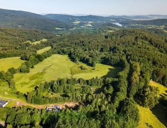 Prodej bytu 2+kk v osobním vlastnictví 55 m², Železná Ruda