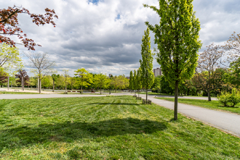 Park u domu - Prodej bytu 2+1 v družstevním vlastnictví 59 m², Praha 10 - Malešice