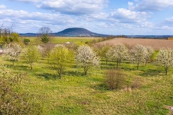 Prodej pozemku 1914 m², Račiněves