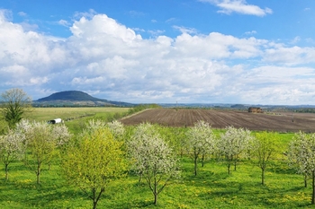Prodej pozemku 1914 m², Račiněves