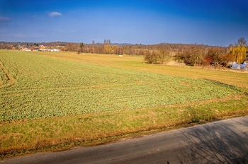 Prodej pozemku 1495 m², Malovice