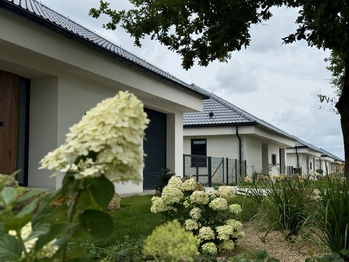 okrasná předzahrádka - Prodej domu 91 m², Malovice