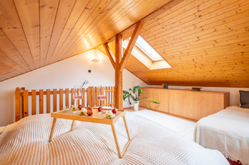Prodej domu 296 m², Červený Kostelec