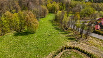 Prodej pozemku 1108 m², Jílové