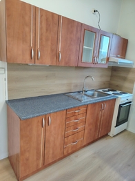 Pronájem bytu 1+kk v osobním vlastnictví 28 m², Litoměřice