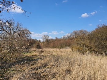 Prodej pozemku 9203 m², Němčany